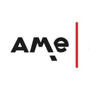 Ame logo for Financial Services retail banking consultant in digital transformation