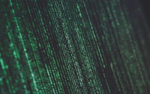 Ame Stuart Matrix Image